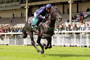 caravaggio-070816pml506 caravaggio-070816pml506