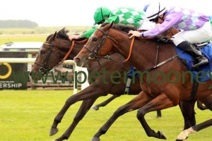 kailee-070817pml0600 kailee-070817pml0600