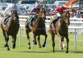 Zoffany PML 00130529.JPG Zoffany PML 00130529.JPG