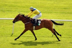 Champion Boy PML 00130458.JPG