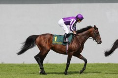 Fame And Glory PML 00130406.JPG