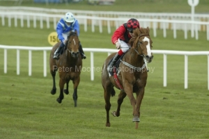 Common World PML0012187.jpg Common World PML0012187.jpg