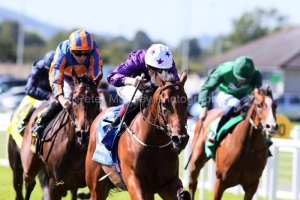 Power Blue 090825PML0921.jpg