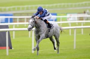 Sky Lantern-PML 00196349 Sky Lantern-PML 00196349