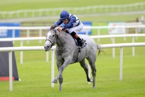 Sky Lantern-PML 00196349 Sky Lantern-PML 00196349