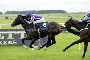 Septimus 38AF8592.jpg Septimus 38AF8592.jpg