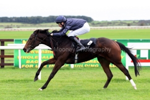 Homecoming Queen-PML 00166216 Homecoming Queen-PML 00166216