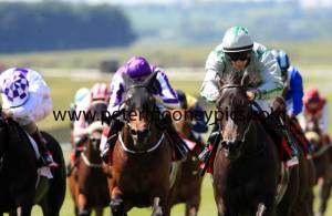 royal-empress-pml-00127323 royal-empress-pml-00127323