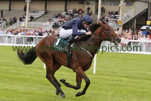 air-force-blue-090815pml387 air-force-blue-090815pml387