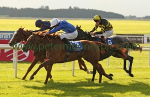 calare-091016pml0336 calare-091016pml0336