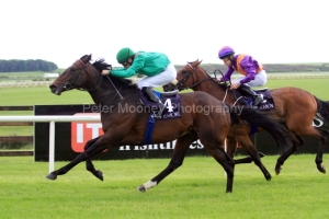 Sharestan-PML 00187493 Sharestan-PML 00187493