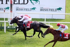 Duncan/Jukebox Jury-PML 00146309 Duncan/Jukebox Jury-PML 00146309