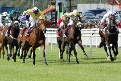 Born To Sea-PML 00164069