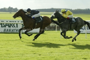 Albert Hall PM00310690.jpg Albert Hall PM00310690.jpg