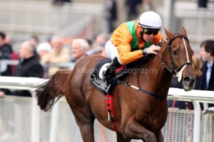 Luisant PML OO136977 Luisant PML OO136977