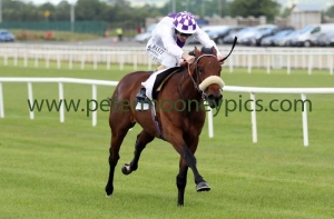 verbal-dexterity-100617pml0342 verbal-dexterity-100617pml0342