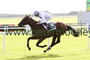 verbal-dexterity-100917pml1769
