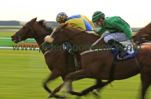 texas-rock-101016pml0490 texas-rock-101016pml0490