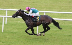 Famous Name PML 0096335.JPG Famous Name PML 0096335.JPG