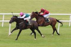 Famous Name PML 0096317.JPG