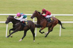 Famous Name PML 0096320.JPG