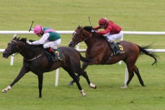 Famous Name PML 0096321.JPG