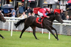 Good To Follow PML 00132756