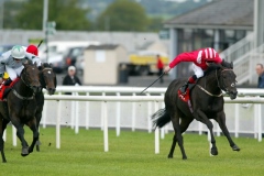 Good To Follow PML 00132742