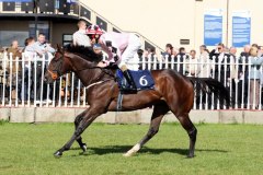 Pathfork PML 00132821