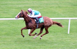 Cityscape-PML 00164423 Cityscape-PML 00164423