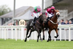 Battleoftheboyne-PML 00164336