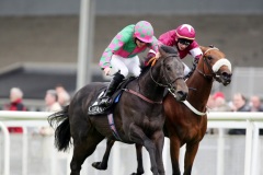 Battleoftheboyne-PML 00