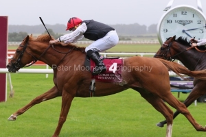 Kyprios 110922PML1164.jpg