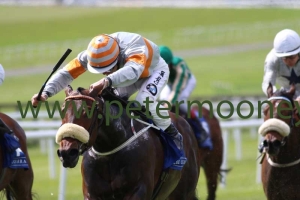 arcanears-110518pml207 arcanears-110518pml207