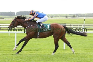 churchill-110916pml0537 churchill-110916pml0537