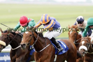 best-in-the-world-111015pml539 best-in-the-world-111015pml539