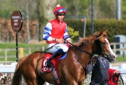 Galen 120425PML