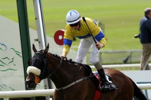 Jumbajukiba PML 0069635 Jumbajukiba PML 0069635