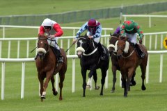 Flashy Beau PML 0069572.JPG