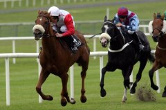 Flashy Beau PML 0069574.JPG