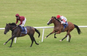 Sariska PML 0096503.JPG Sariska PML 0096503.JPG