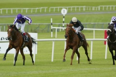 Black Quartz PML 0096349.JPG