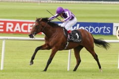 Black Quartz PML 0096363.JPG