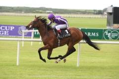 Black Quartz PML 0096370.JPG