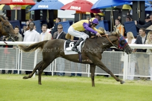 Saoirse Abu PML 0045879.JPG Saoirse Abu PML 0045879.JPG