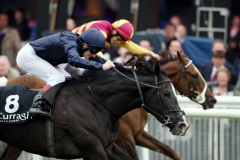 Bewitched PML 00133365