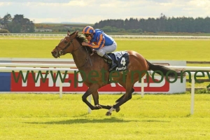 bye-bye-baby-120518pml524 bye-bye-baby-120518pml524