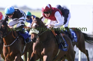 devonshire-121014pml0377