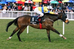 Jumbajukiba PML 0066188.JPG Jumbajukiba PML 0066188.JPG