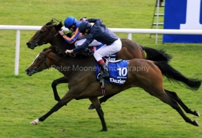 Moonstone PML 0069825.JPG Moonstone PML 0069825.JPG